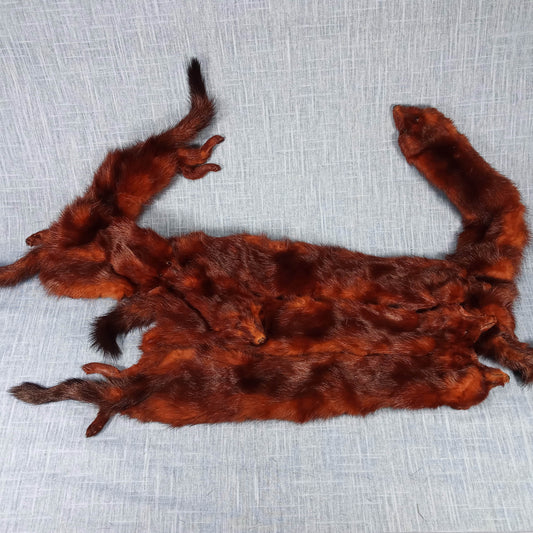 1940s Vintage Dark Brown Russian Fischer Six Mink Fur Stole