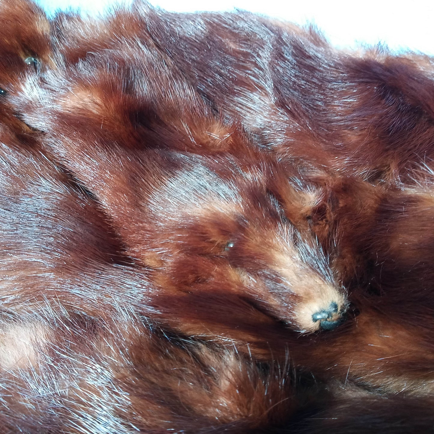 1940's Dark Brown Russian Fischer Six Mink Fur Stole