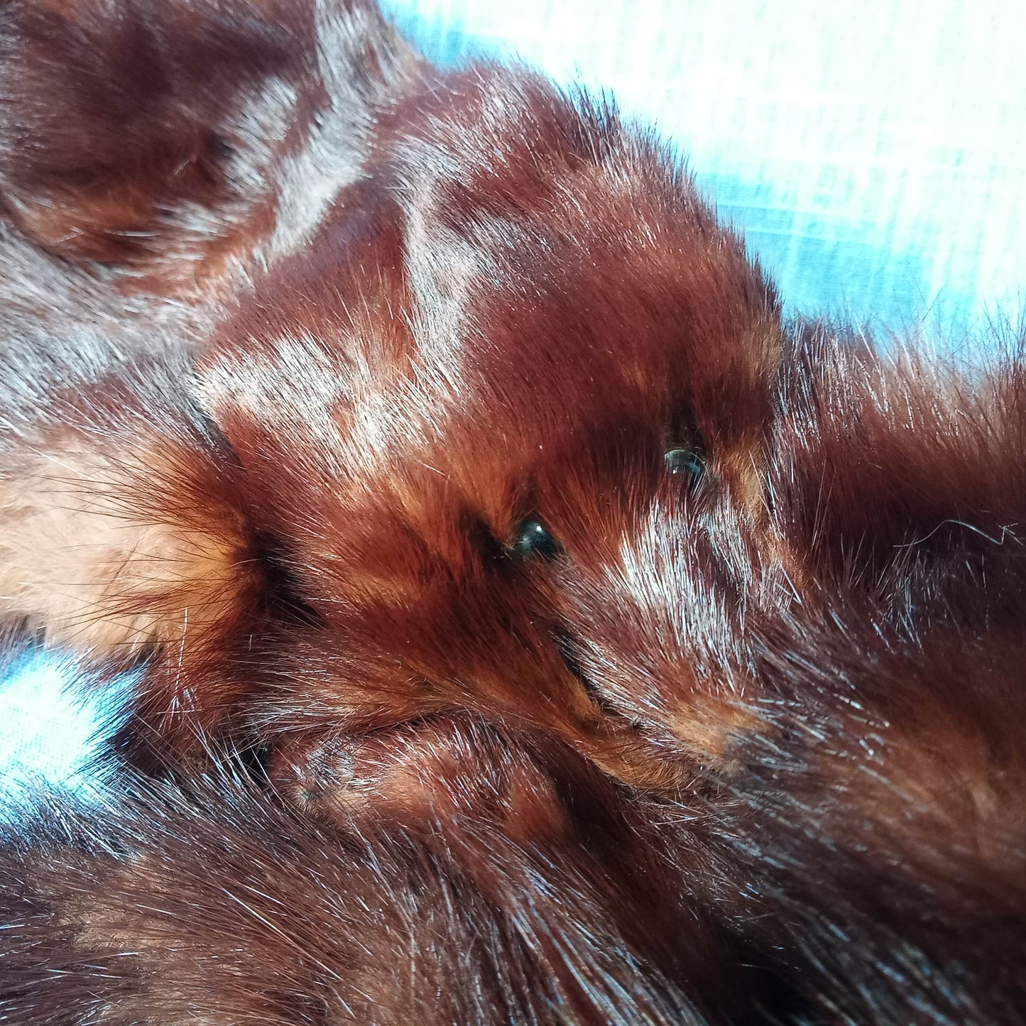 1940's Dark Brown Russian Fischer Six Mink Fur Stole