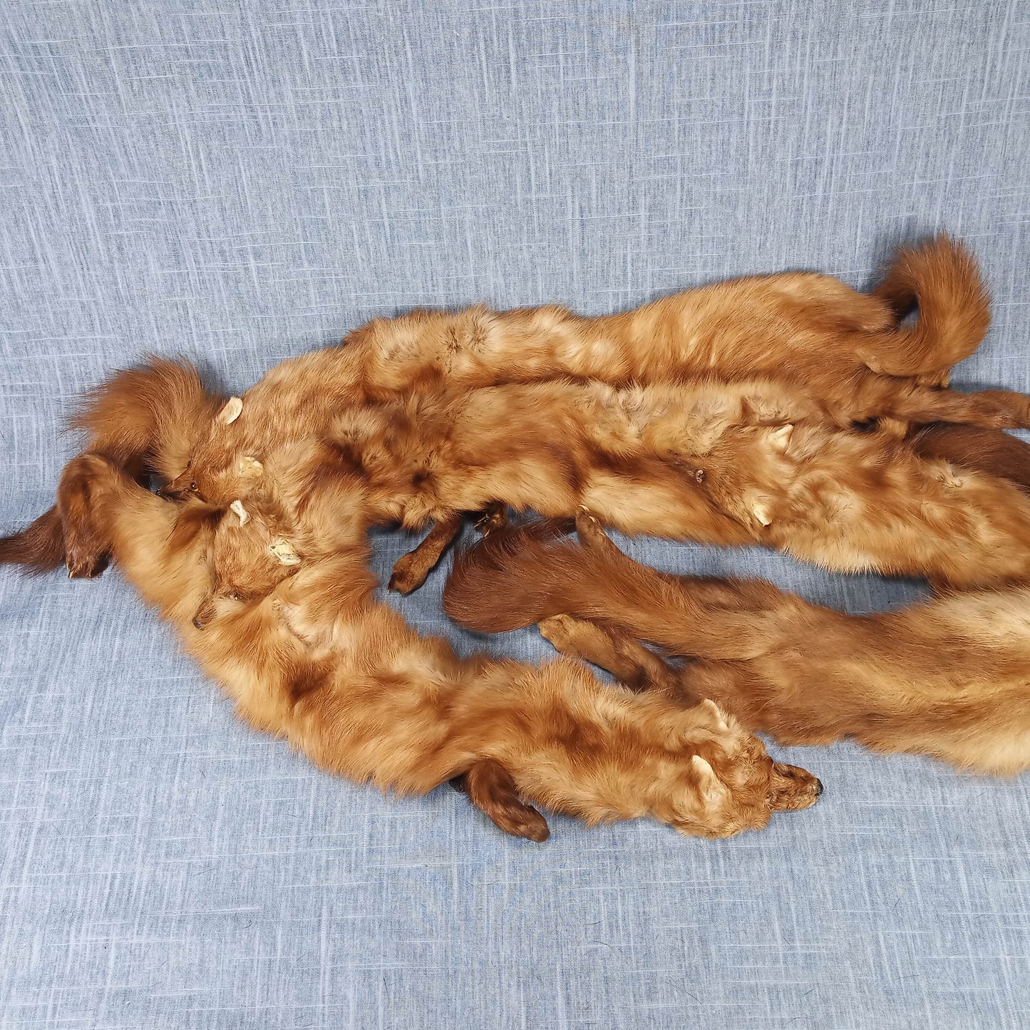 1940's Blonde Russian Fischer Fur Stole
