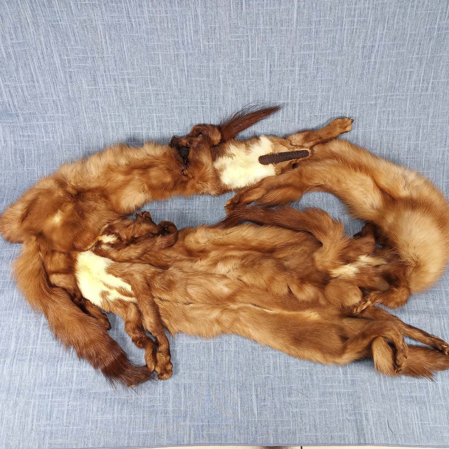 1940's Blonde Russian Fischer Fur Stole