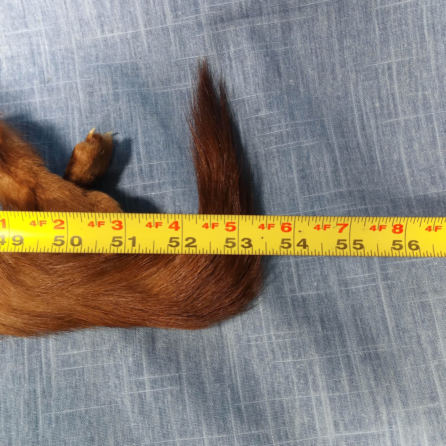 1940's Blonde Russian Fischer Fur Stole