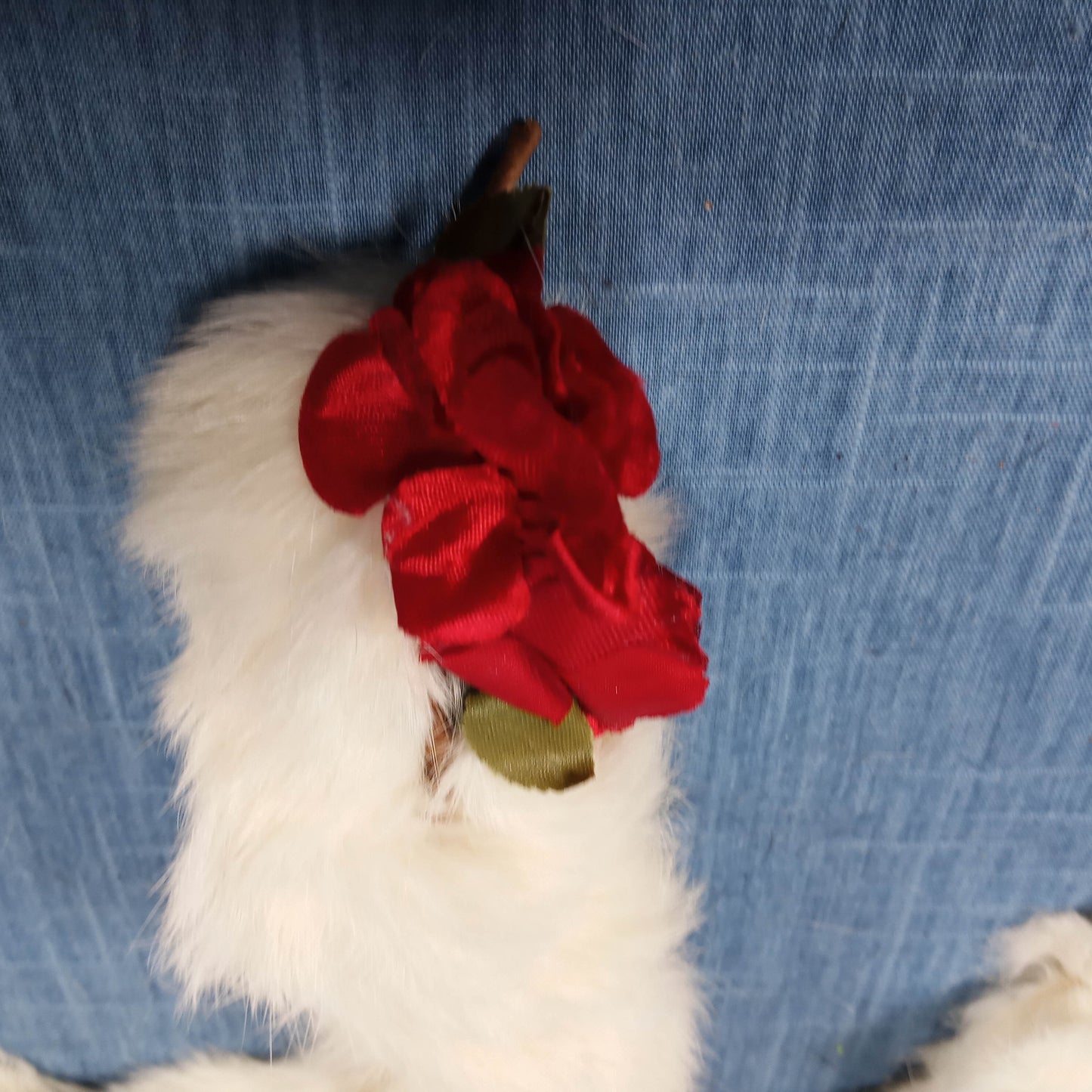 1940's White Rabbit Fur Red Rose Scarfs with Clip