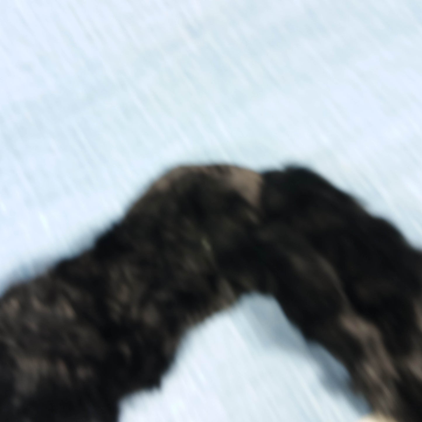 1950's Black Rabbit Fur Notched Lapel Collar