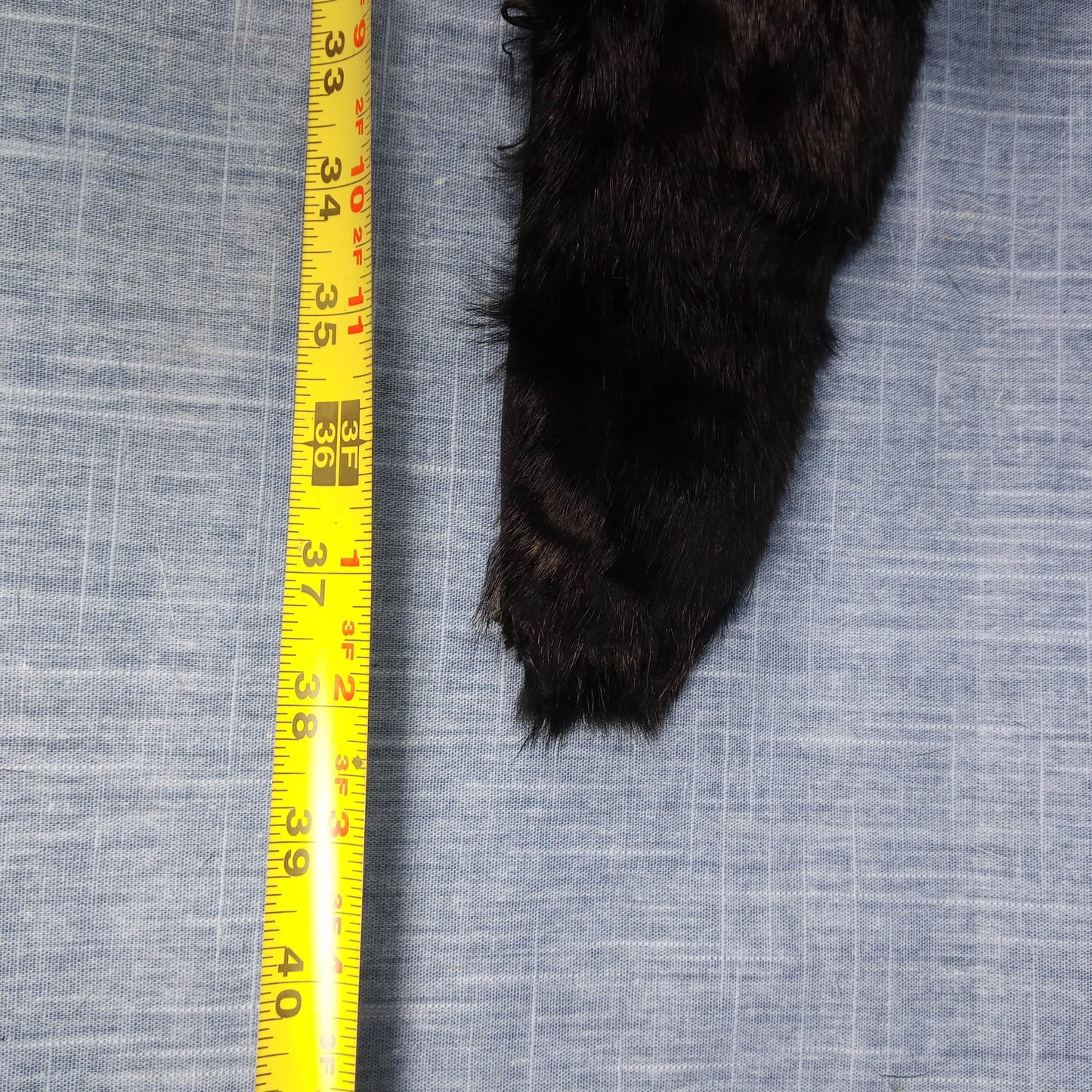 1950's Black Rabbit Fur Notched Lapel Collar