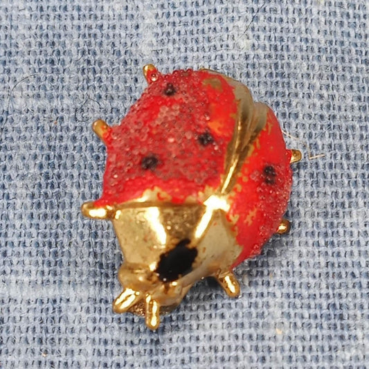 1960s Vintage Lady Bug Pin