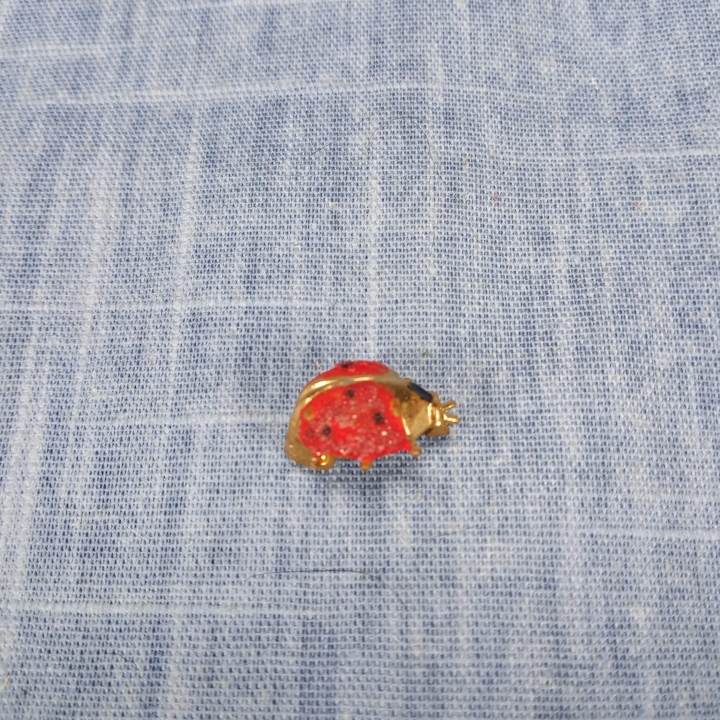 1960s Vintage Lady Bug Pin