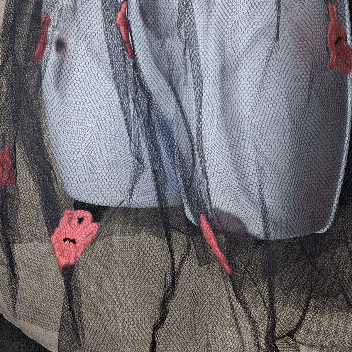 Vintage Sheer Black Apron with Red Felt Flowers